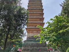 -洛阳白马寺