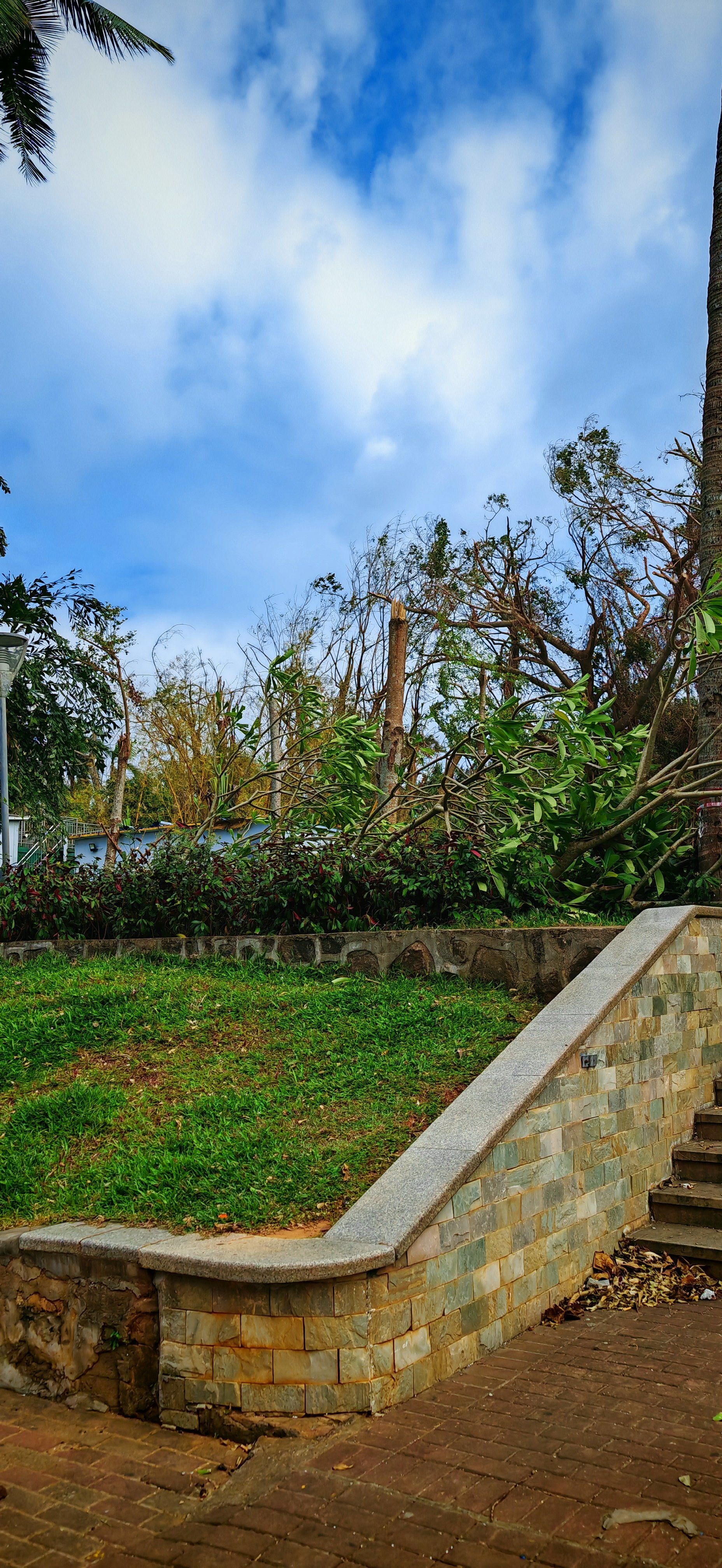 海口公园的儿童乐园