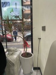 点击看大图 -环球蝶上美业连锁