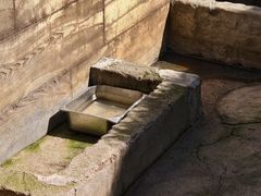 -佛冈森波拉度假区