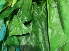 -老员外骨汤火锅(海州古城店)