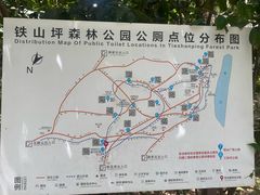 -铁山坪森林公园