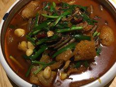 -滇铺子·云南特色菜·第九届野生菌美食节(东风东路c86店)