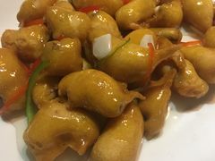 -优之名鹅城