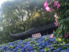 -苏州上方山国家森林公园