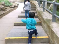 -西安市纺织公园