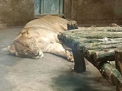 -西安秦岭野生动物园