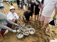 -浪琴湾度假村