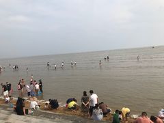 -刘家湾赶海园