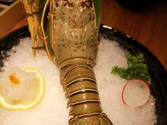 -赤坂亭·M9和牛烧肉·铁板烧·日料398放题(长泰广场店)