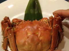 阳澄湖大闸蟹-麟1929(外滩店)