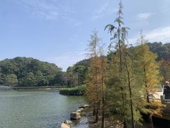 -广州市帽峰山景区