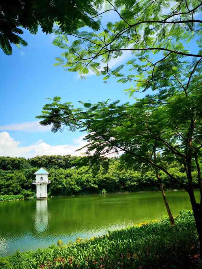 相思湖公园-"一言难尽的地方啊.天气热到爆炸.想着顺道.