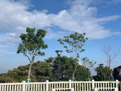 -黄埔油麻山森林公园