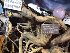 -秃鹫湾·推理大师沉浸式实景演绎推理剧场