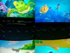 -海合安成都极地海洋公园