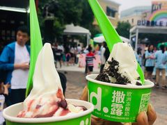 冻酸奶-Salud撒露欧洲冻酸奶(蓝色港湾店)