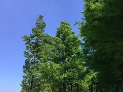 -滆湖低碳生态公园