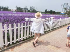 -渔岛海洋度假区