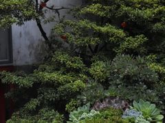 -寂照庵