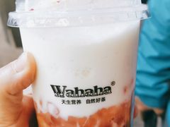 -娃哈哈·奶茶(武林店)