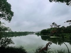 -长广溪湿地公园