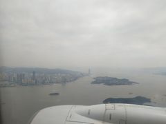 -百家春好德来姜母鸭