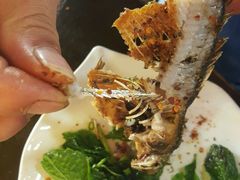 马帮烤鱼-民食香·腊排骨野生菌美食(木府店)
