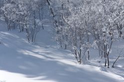-大秃顶子山