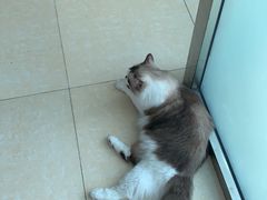 -乐宠动物医院