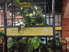 -一乐韩国炸鸡(梅江店)