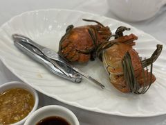原只蒸大闸蟹母-东江海鲜酒家(艺都分店)