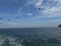 -海驴岛(荣成市)