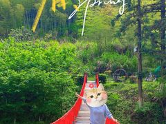 -韶关经律论国际酒店温泉