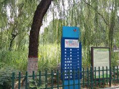 -西安市长乐公园