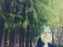 -月湖风景区