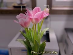 -莫奈花园法式蛋糕