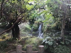 -Chom Cafe and Restaurant