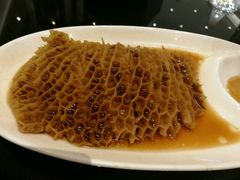 -新南华大酒店(广中店)
