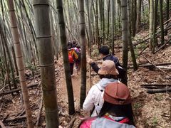 -会稽山峡洞漂流-上青古道
