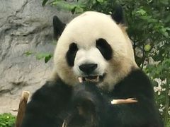 -石排湾郊野公园