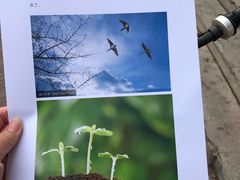 -赛可优数码广告印刷(解放南路店)