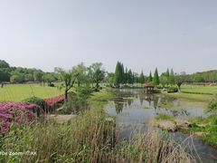 -宜兴龙背山森林公园