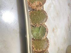 -绿茶餐厅(二七万达店)