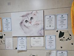 -谐和益家动物医院·免疫绝育·血液透析·宠保定点医院(高新伊藤分院)