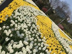 -大宁灵石公园西门票处