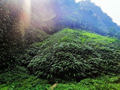 -通灵大峡谷