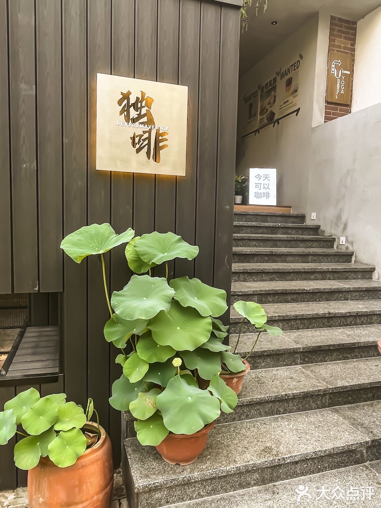 东莞探店▏可以坐一天的网红咖啡厅