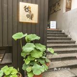 东莞探店▏可以坐一天的网红咖啡厅