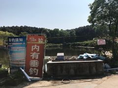 -铁山坪森林公园